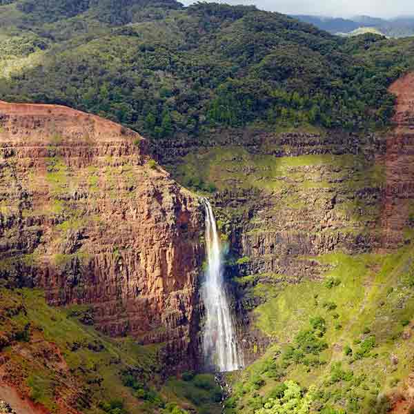 Waimea Canyon & Fern Grotto Tour